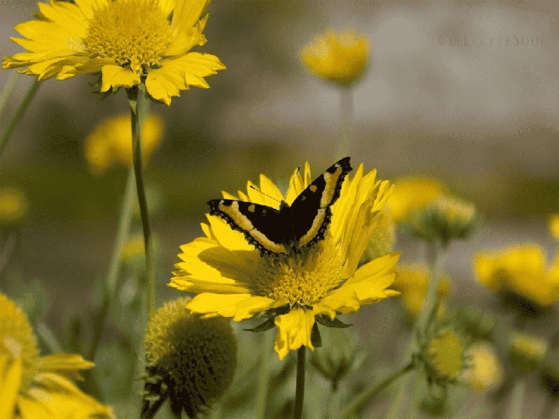 试管上套气球明星的试管之路试管应该检查什么